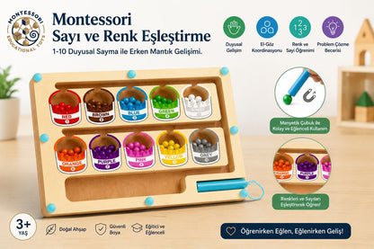 MinzoToys Manyetik Ahşap Sayılar Ve Renkler Labirenti