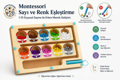 MinzoToys Manyetik Ahşap Sayılar Ve Renkler Labirenti