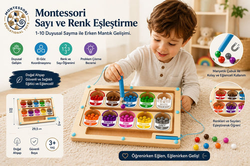 MinzoToys Manyetik Ahşap Sayılar Ve Renkler Labirenti